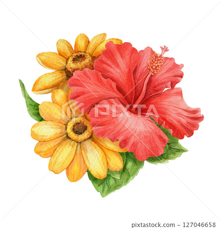 Red Hibiscus flower and sunflower small bouquet summer arrangement. Hand drawn watercolor art with floral and leaf. Vacation vibe graphic element. Perfect for card template and holiday season design. Red Hibiscus flower and sunflower small bouquet summer arrangement. Hand drawn watercolor art with floral and leaf. Vacation vibe graphic element. Perfect for card template and holiday season design. 127046658