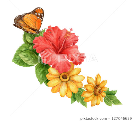 Hibiscus flower with sunflower and Monarch butterfly summer arrangement. Hand drawn watercolor art with leaf. Vacation graphic element. Perfect for summer card template and holiday season design. 127046659