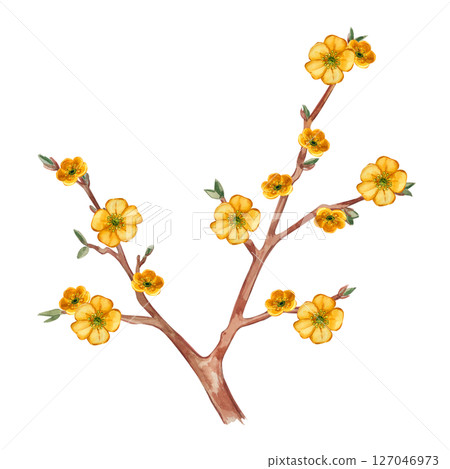 Blooming fantasy tree with yellow flowers, all objects are hand-painted with watercolor and isolated on a white background. Watercolor illustration. Suitable for printing on fabric, paper, cards. Blooming fantasy tree with yellow flowers, all objects are hand-painted with watercolor and isolated on a white background. Watercolor illustration. Suitable for printing on fabric, paper, cards. 127046973