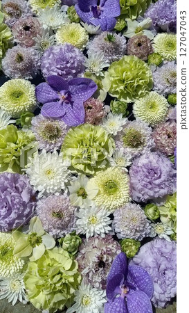 Flowers floating on water 127047043