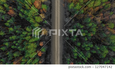 aerial view of a road in the forest 127047142