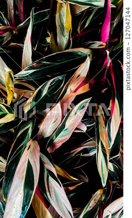 watercolor painting of leaf and flowers pattern 127047144