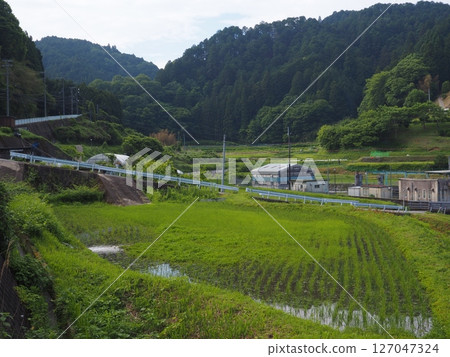 Nostalgic landscape 127047324