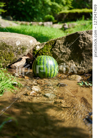 Watermelon chilled in stream water 127047409