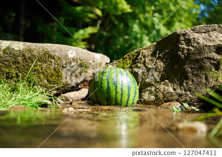Watermelon chilled in stream water Watermelon chilled in stream water 127047411