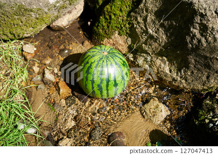 溪水冰鎮西瓜 溪水冰鎮西瓜 127047413
