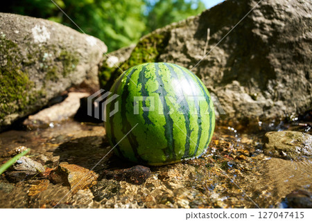 Watermelon chilled in stream water 127047415