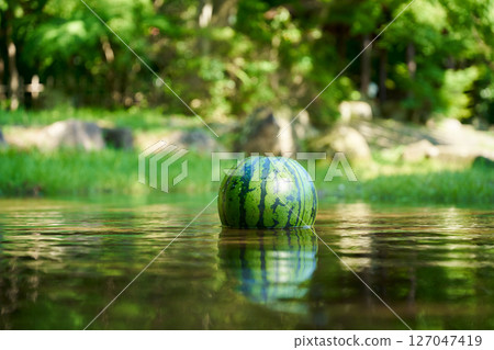 Watermelon chilled in stream water 127047419