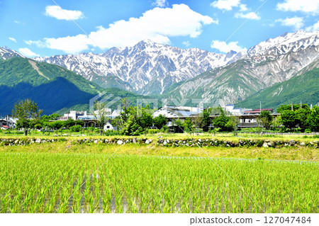 View of Mt. Goryu and Mt. Karamatsu from near JR Hakuba Station (Hakuba Village, Nagano Prefecture) [June 2025] 127047484