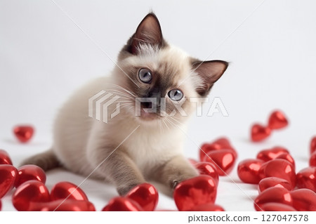 Cute kitten with red hearts,valentine's day 127047578