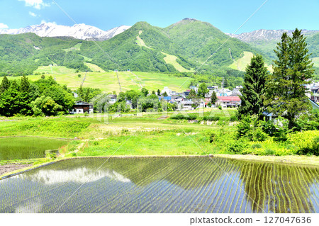 白馬栂池山區度假村景觀（長野縣小谷村）[2025年6月] 127047636
