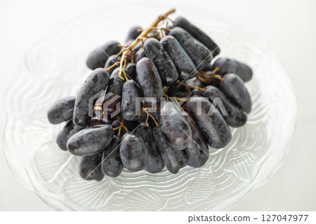 Australian grapes now available: Sweet Aphid Australian grapes now available: Sweet Aphid 127047977