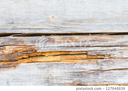 Wooden background. The picture shows a background made of an old cracked wooden board, which looks very expressive and authentic. Wooden background. The picture shows a background made of an old cracked wooden board, which looks very expressive and authentic. 127048839