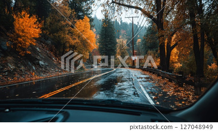 Rainy Autumn Road Through Colorful Forest 127048949