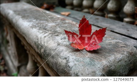 Red Maple Leaf on Weathered Stone Bench 127049073