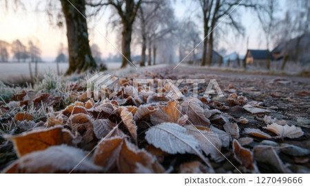 Frozen Leaves on a Country Road at Sunrise 127049666