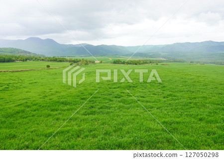 天狗平展望台天空景觀(陰天) 天狗平展望台天空景觀(陰天) 127050298