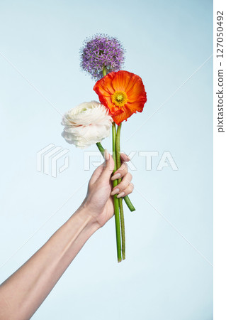 Brightly colored flowers held delicately against a pale background 127050492