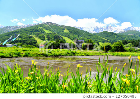 白馬村風景 / 眺望白馬八方尾根滑雪場（長野縣白馬村）[2025年6月] 127050493