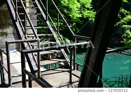 神奈川縣的隱密瑰寶：鬱鬱蔥蔥的有信溪谷 127050722