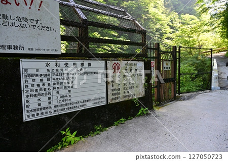A hidden gem in Kanagawa Prefecture: Yushin Valley with its fresh greenery A hidden gem in Kanagawa Prefecture: Yushin Valley with its fresh greenery 127050723
