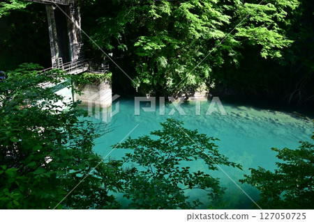 A hidden gem in Kanagawa Prefecture: Yushin Valley with its fresh greenery A hidden gem in Kanagawa Prefecture: Yushin Valley with its fresh greenery 127050725