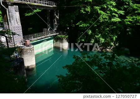 A hidden gem in Kanagawa Prefecture: Yushin Valley with its fresh greenery A hidden gem in Kanagawa Prefecture: Yushin Valley with its fresh greenery 127050727