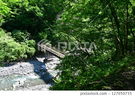 A hidden gem in Kanagawa Prefecture: Yushin Valley with its fresh greenery A hidden gem in Kanagawa Prefecture: Yushin Valley with its fresh greenery 127050735