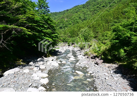 A hidden gem in Kanagawa Prefecture: Yushin Valley with its fresh greenery A hidden gem in Kanagawa Prefecture: Yushin Valley with its fresh greenery 127050736
