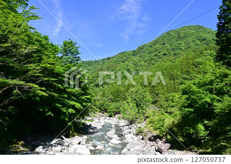 A hidden gem in Kanagawa Prefecture: Yushin Valley with its fresh greenery A hidden gem in Kanagawa Prefecture: Yushin Valley with its fresh greenery 127050737