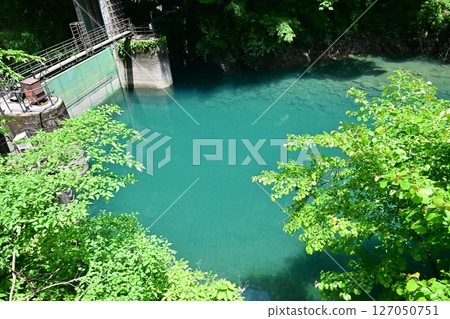 A hidden gem in Kanagawa Prefecture: Yushin Valley with its fresh greenery 127050751