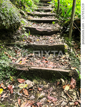 close-up view of a rustic forest trail with uneven wooden steps covered in fallen leaves and moss, surrounded by lush greenery, for themes of hiking, adventure, eco-tourism, and outdoor exploration close-up view of a rustic forest trail with uneven wooden steps covered in fallen leaves and moss, surrounded by lush greenery, for themes of hiking, adventure, eco-tourism, and outdoor exploration 127051219