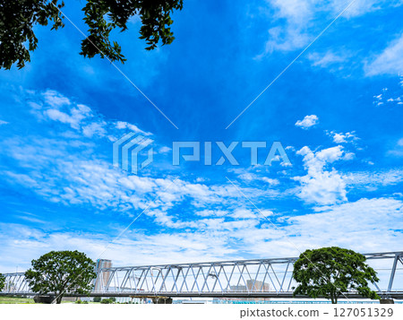 Fresh greenery on the banks of the Edogawa River in early June 127051329