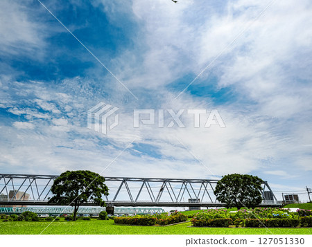 初夏的江戶川河畔，綠意盎然的小岩 127051330