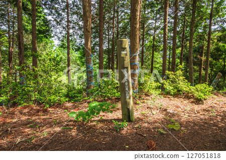 Shizugatake Hiking Trail Yamamotoyama Trail Sign Nagahama City, Shiga Prefecture 127051818