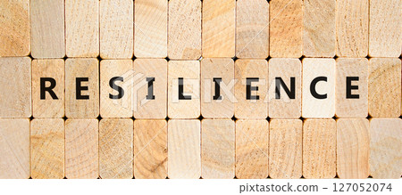 Resilience symbol. Concept word Resilience on beautiful wooden blocks. Beautiful wooden blocks background. Business resilience concept. Copy space. Resilience symbol. Concept word Resilience on beautiful wooden blocks. Beautiful wooden blocks background. Business resilience concept. Copy space. 127052074
