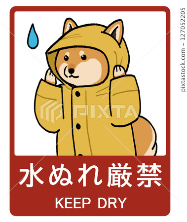 柴犬請求不要被淋濕的插圖 127052205