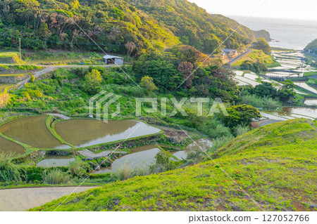 （長崎縣）春日村的海景梯田（長崎天草地區的隱密基督徒遺產） 127052766