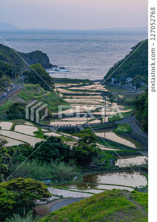 (長崎縣)春日村的海景梯田(長崎天草地區的隱密基督徒遺產) (長崎縣)春日村的海景梯田(長崎天草地區的隱密基督徒遺產) 127052768