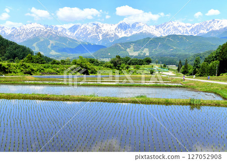 從長野縣白馬村的野平地區眺望八方尾根和白馬三山（長野縣白馬村）[2025年6月] 127052908
