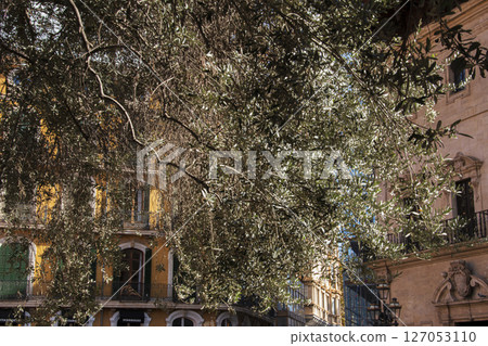 西班牙巴塞隆納附近馬略卡島的美麗城市景觀 127053110