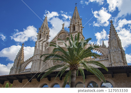 西班牙巴塞隆納附近的馬略卡島風景 127053330