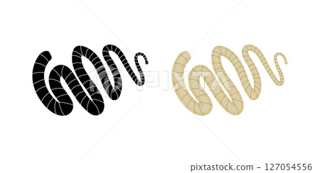 Tapeworm, segmented flatworm, intestinal parasite causing infection Tapeworm, segmented flatworm, intestinal parasite causing infection 127054556