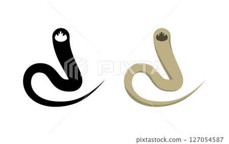 Hookworm, Necator americanus and Ancylostoma duodenale. Hookworm, Necator americanus and Ancylostoma duodenale. 127054587