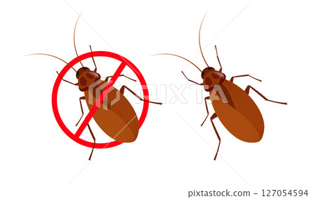 Cockroach with forbidden sign representing disinfestation and pest control 127054594