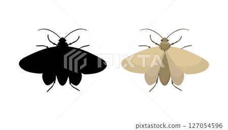 Webbing clothes moth and its silhouette isolated on white background 127054596