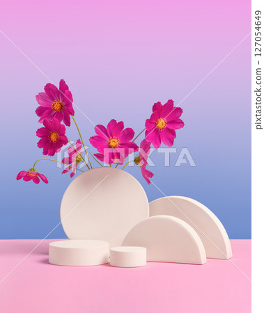 White round podium set on a gradient blue-purple background purple cosmos flowers. Concept scene stage showcase for new product, sale, cosmetic, presentation. Abstract geometric composition in White round podium set on a gradient blue-purple background purple cosmos flowers. Concept scene stage showcase for new product, sale, cosmetic, presentation. Abstract geometric composition in 127054649