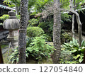 garden surrounded by greenery 127054840