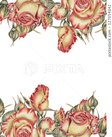 Yellow and pink roses and buds and green leaves composition on white. Watercolor illustration for cards, invitations, holidays Spring, birthday, Valentine's Day, wedding or Mother's Day. Yellow and pink roses and buds and green leaves composition on white. Watercolor illustration for cards, invitations, holidays Spring, birthday, Valentine's Day, wedding or Mother's Day. 127054842