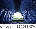 Inside the greenhouse 127055470